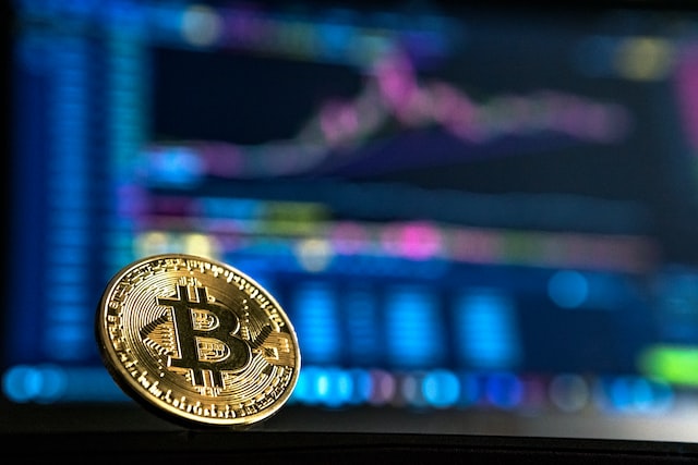 Cryptocurrency: How to Sustain in The Volatile Digital Scenario?