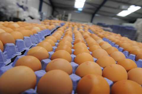 Shoppers could face egg rationing as supermarket bosses warn of shortages