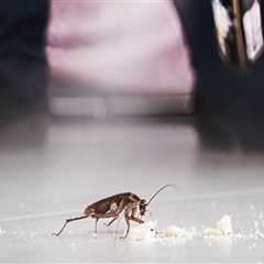 Top Home Selling Tips In Charleston: Start With Pest Extermination Services