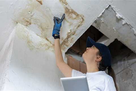 Uncovering True Value: How Demolition Services Aid Smart Foreclosure Investing In Riverside,..